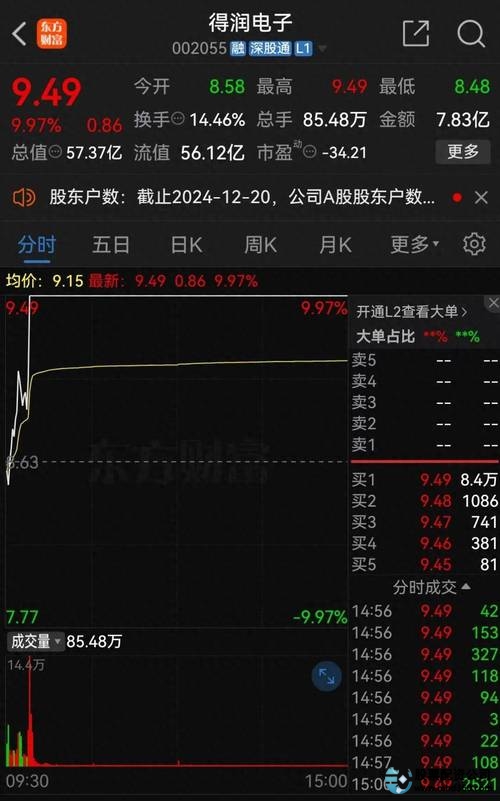 股票配资专业_专业炒股配资_配资炒股专业知识