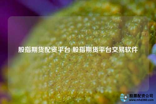 股指期货配资平台 股指期货平台交易软件