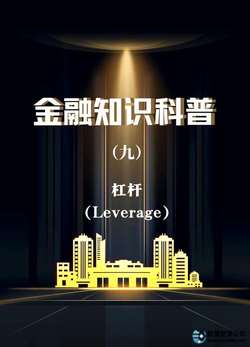 金融投资加杠杆原理_加杠杆风险与收益分析_股票怎么加杠杆