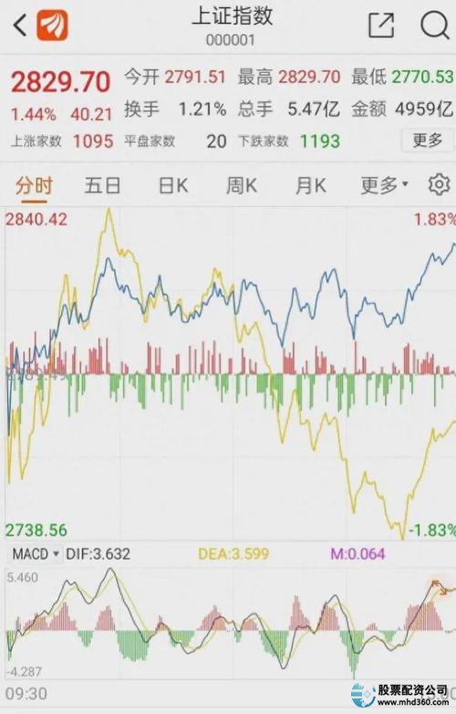 大盘指数配资业务暂停 _杠杆配资网_ 配资平台重启策略 