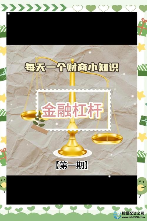 股票配资什么意思_股票配资杠杆操作_金融杠杆风险控制