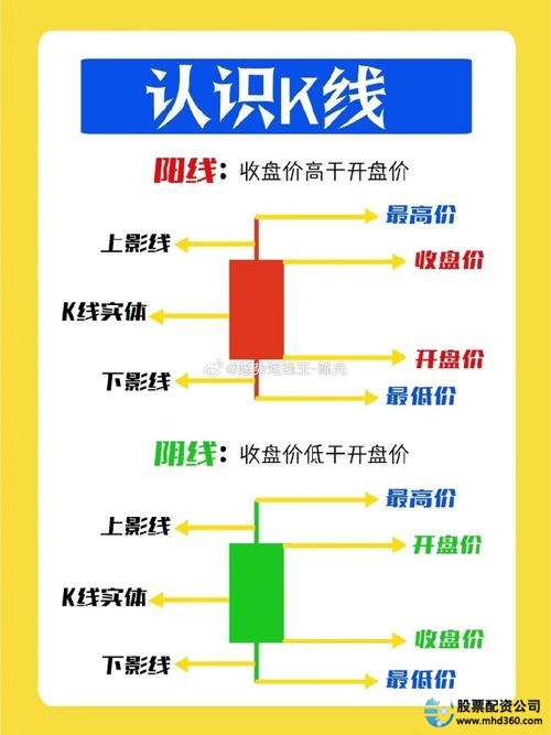  股票投资基础知识学习 _炒股配资杠杆_新手炒股入门知识 