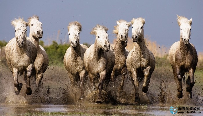 期货十倍杠杆一万块钱 10倍杠杆涨40%收益多少