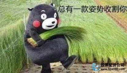 场外配资是什么_场外配资骗局_配资平台app