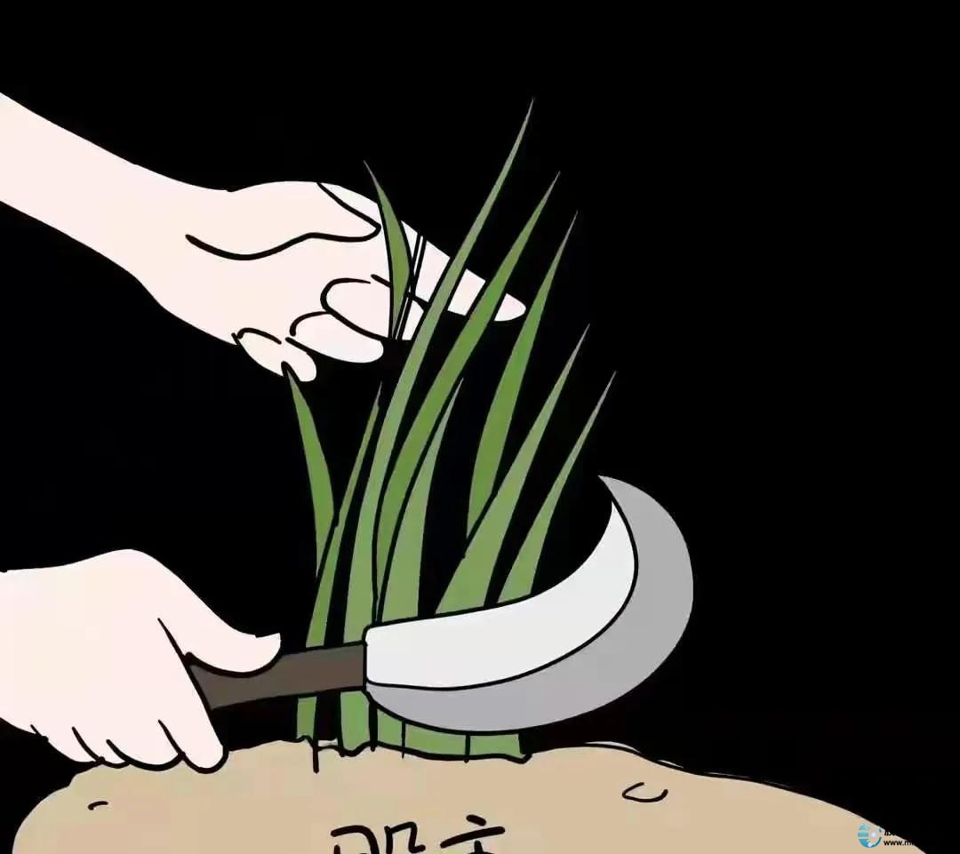 炒股人群资金分布_普通人如何看待炒股_1000元炒股到100万