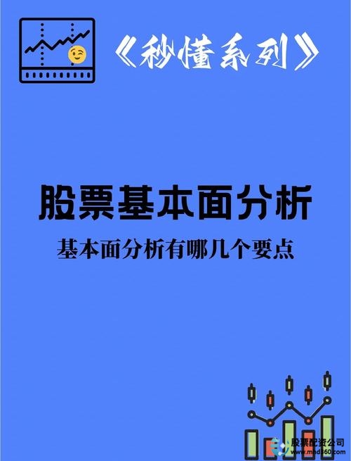 基本面分析股票投资价值_股票投资基本分析_股票市场风险杠杆投资