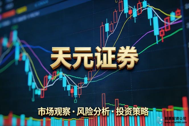 线上股票配资炒股_三家正规实盘的制度边界对比_2026年线上股票配资平台安全观察
