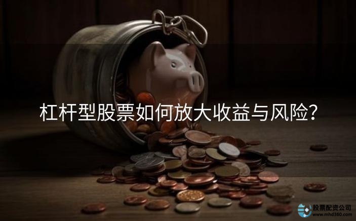 杠杆炒股是什么意思_金融杠杆原理_杠杆交易风险