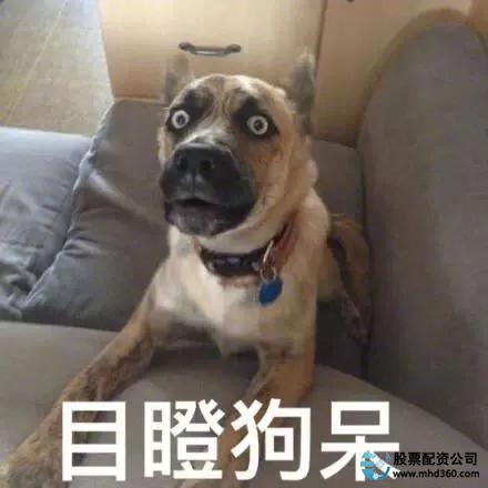 高杠杆炒股危害_场外配资风险_免息配资公司