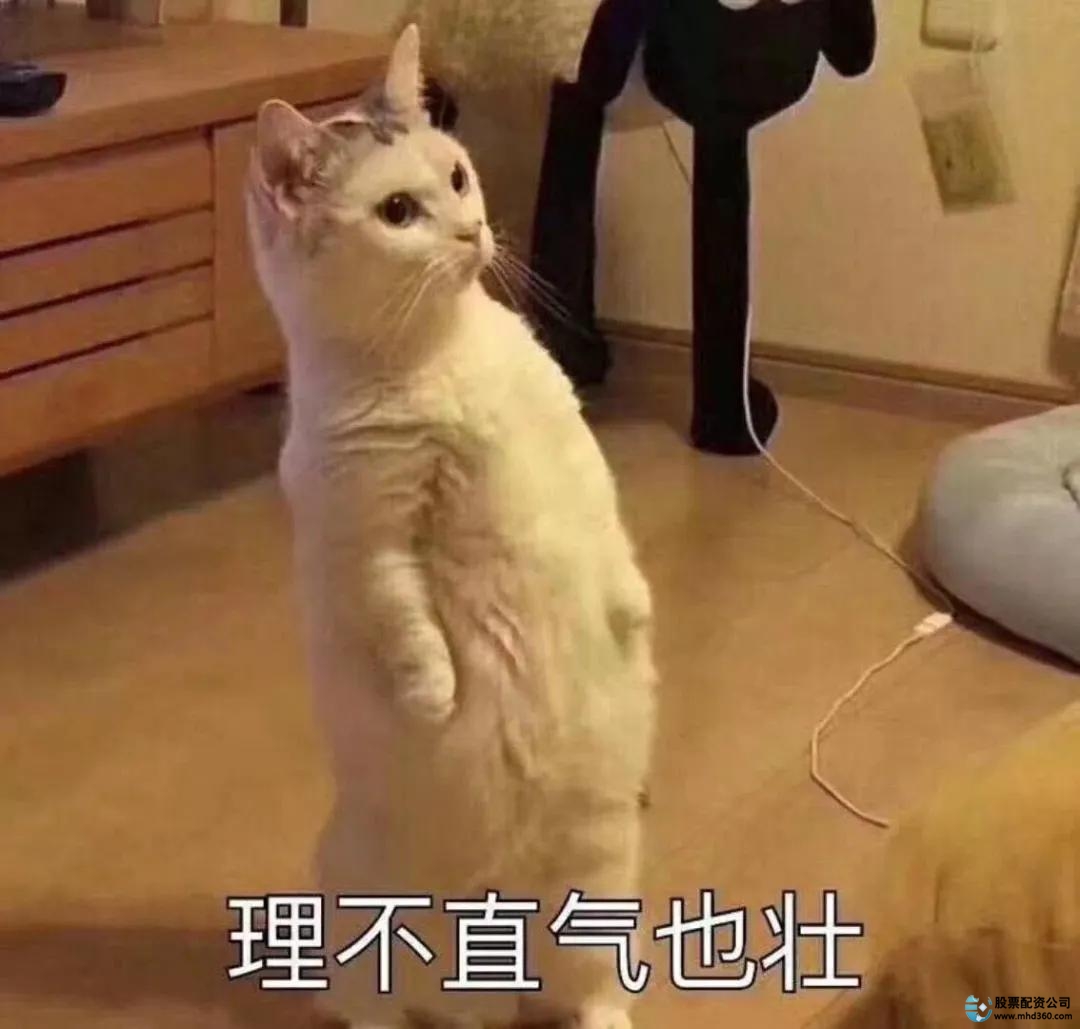 高杠杆炒股危害_免息配资公司_场外配资风险