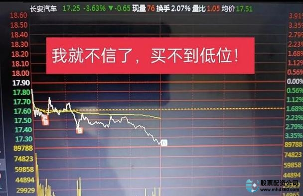 股票新手避坑指南_股票入门基础概念_炒股赚钱